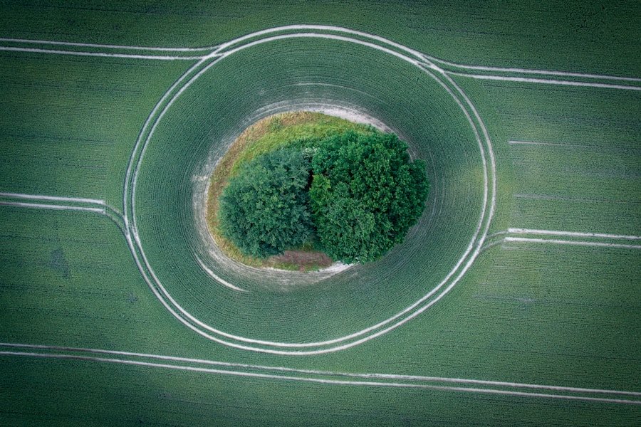 Economía circular y alimentación sostenible: descubre cómo aplicar estas prácticas en Emiratos Árabes Unidos