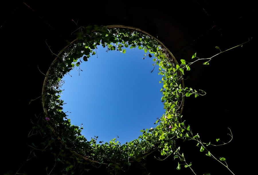 Cocina sostenible: aprovecha la economía circular en tus recetas de temporada en Emiratos Árabes Unidos