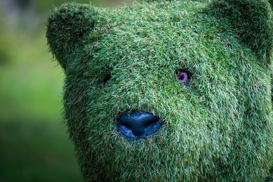 Explorando el arte ecológico desde Tánger hasta Dubái