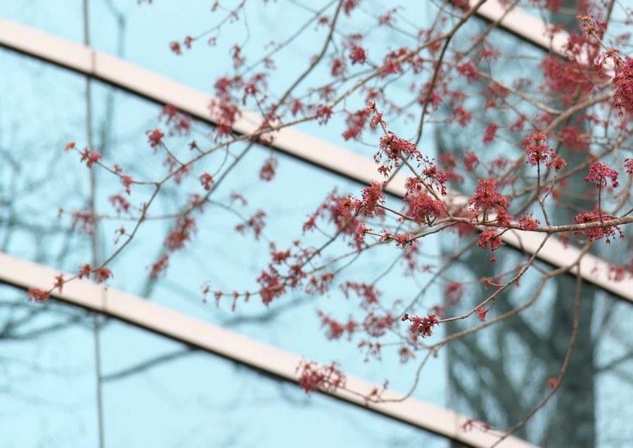 Los secretos para lograr un equilibrio entre el bienestar y la productividad en los negocios globales