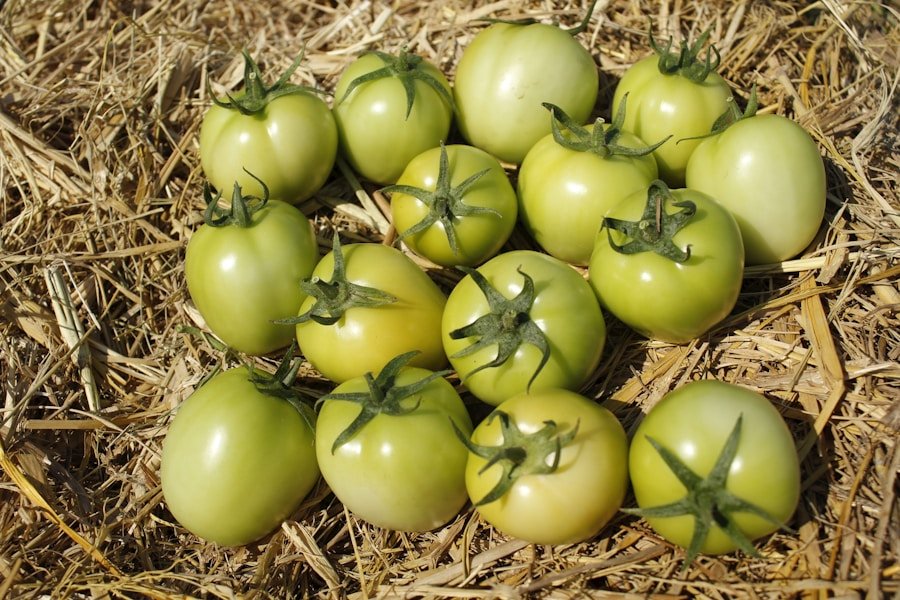 Conoce a las empresas que están cambiando el juego con su enfoque en el bienestar humano y ecológico