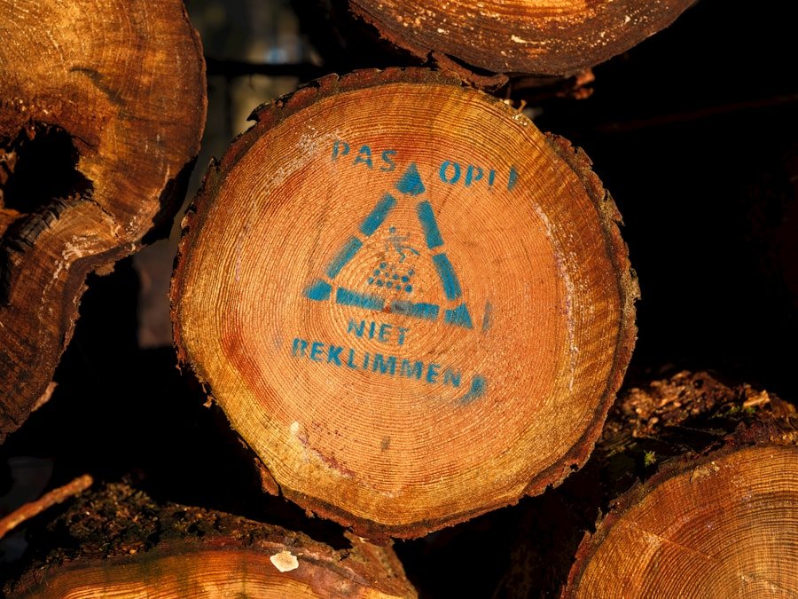 ¿Por qué es importante la certificación ecológica para los productos holísticos en Ciudad de México y Miami LATAM?