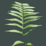 Certificación ambiental: el paso imprescindible para empresas de smart logistics