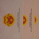 Diferénciate a nivel mundial con certificaciones ISO para tu empresa