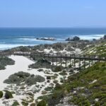 Descubre cuál es el mejor sello verde para tu empresa con propósito auténtico